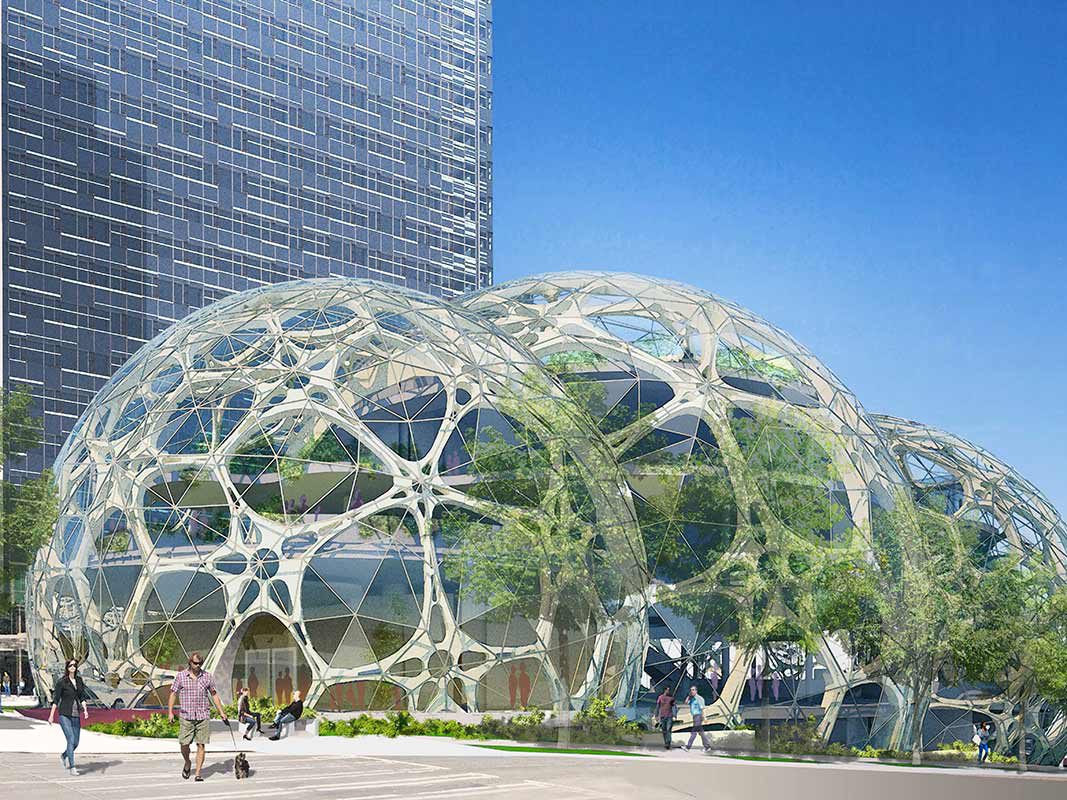 Forget Beanbag Chairs. Amazon Is Giving Its Workers Treehouses.